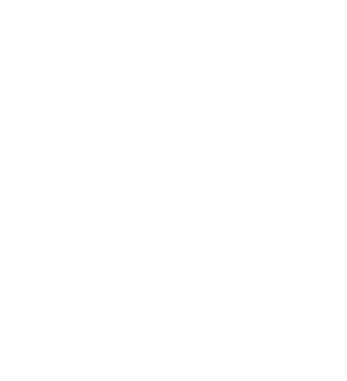 st mary international school